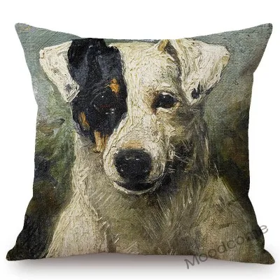 conew_n387 (51) 副本