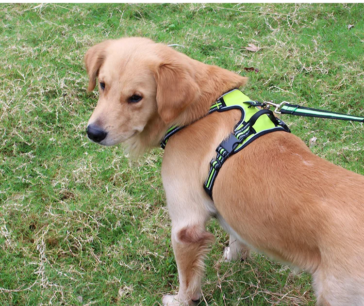 Arnés reflectante y duradero para нашивками perros arnés grande регулируемые para нашивками perros arnés para caminar para нашивками perros pequeños y medianos