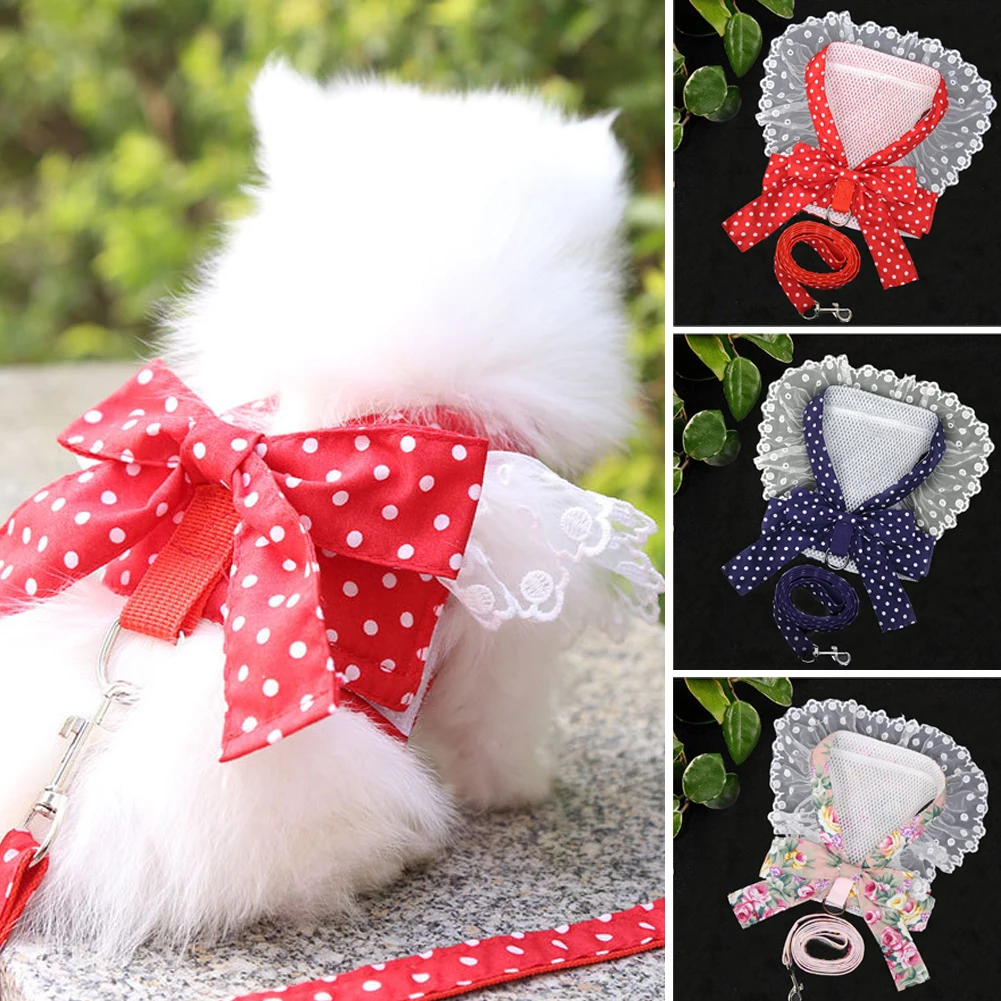 Accessory Pomeranian Dog | Pomeranian Puppy Accessories | Dog Collar ...