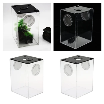 

2pcs Mini Reptile Acrylic Terrarium Full View Visually Reptile Habitat Box