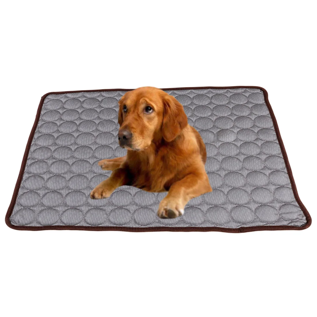 

Pets Summer Cooling Mat Pet Ice Pad Cool Cold Silk Moisture-Proof Cooler Sofa Mats Portable Tour Sleeping Pet Accessories XS-XL