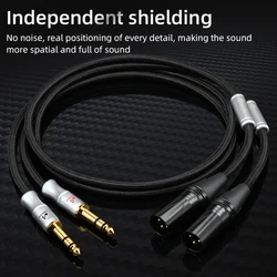 Premium Dual TRS to XLR Balanced Audio Cable for Microphones and DJ Equipment (6.5mm to xlr male)
