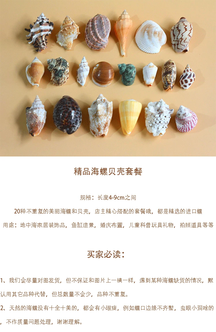 Natural Conch Shell Combination Coral Sea Fish Tank Decoration Wedding Props Home Layout Platform Shells Starfishes Home Crafts