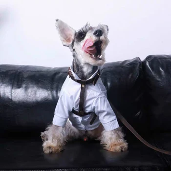 

dog accessories dog harness dog leash dogs pets accessories chihuahua dog accessories for small dogs pitbull dog supplies