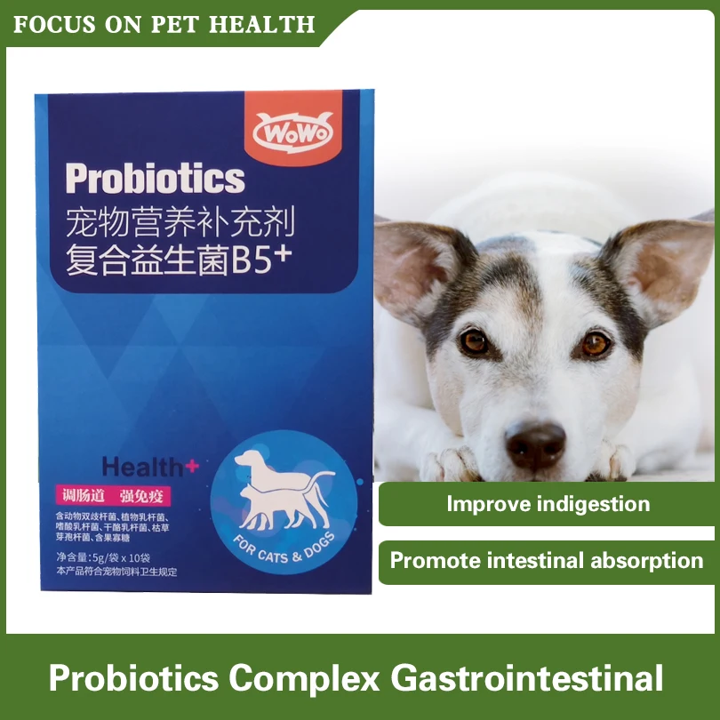 Can You Give A Dog Probiotics For Diarrhea
