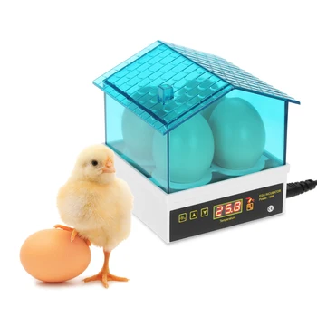 

Mini Household Intelligent Automatic Egg Incubator Temperature Control Hatcher for Hatching Chicken Duck Quail Poultry 4-Eggs