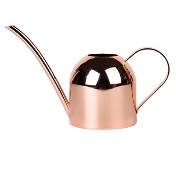 

2 Colors Watering Can For Indoor House Plants Long Spout Brushed Stainless Steel Watering Pot Graden Watering