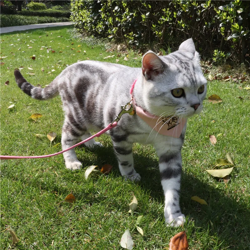 12134348660_307791824