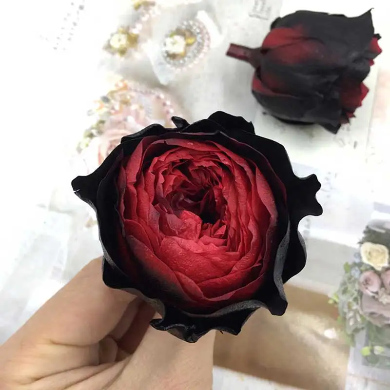1 коробка высокого качества вечный цветок Роза Остина диаметр цветка 4-5 см класса А с лакированным вечные цветы материал для изготовления подарочной коробки