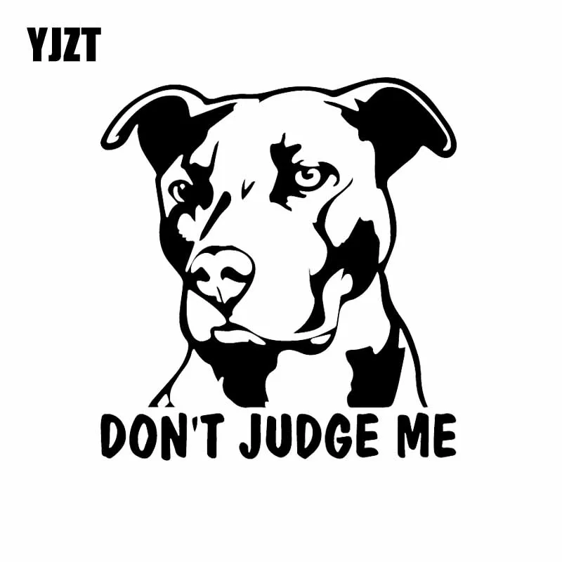 Yjzt Muslimon Don'T Judge Me Pitbull Vinyl Decal Car Sticker Puppy Dog Animal Black/Silver C24-1381