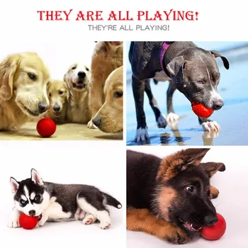 

Pet Dog Chew Toy Rubber Bounce Solid Ball Playing Floating for Dogs Ball Toys Bite-resistant