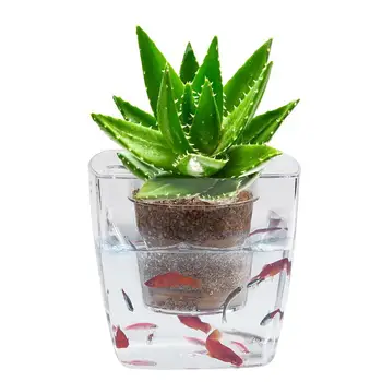 

Geometric Fish Tank Flowers Pots Smart Wall Planter Cachepot Decor Succulent for green plants Orchids Transparent Cactus Stand