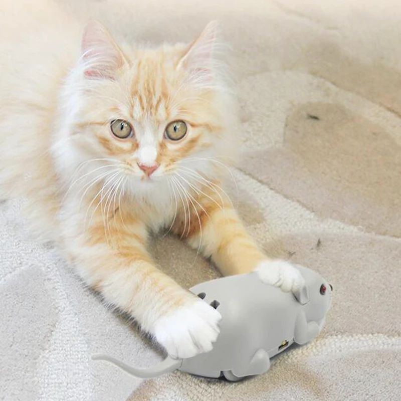 Nieuwste Kat Speelgoed Met Usb Batterij, Kat Teaser Met Sensor Boven De Staart, gevoelig Kat Touch -