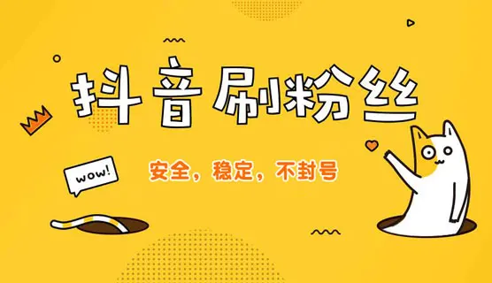 抖音刷一千粉丝需要多少钱