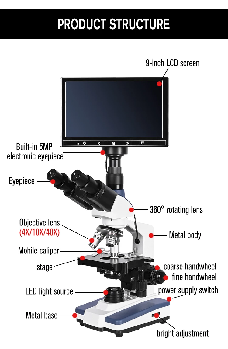 9英寸三目一滴血_06