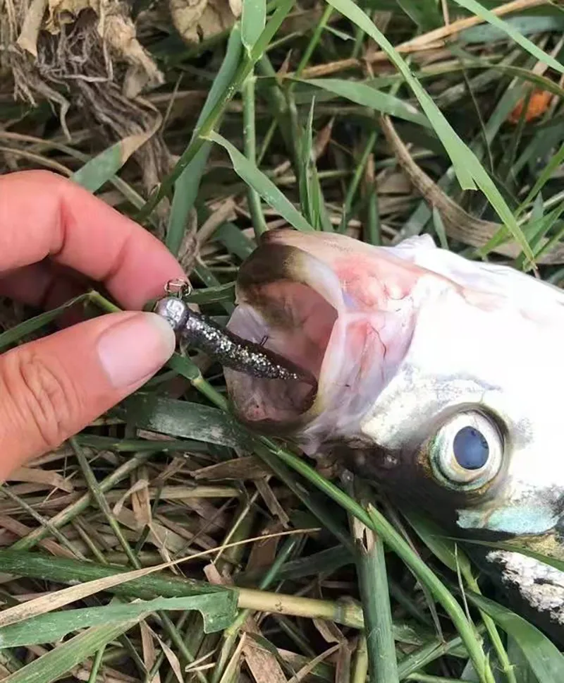 OUTKIT 10 Teile/los Wobbler Rockfishing Weiche Köder Gummi Weiche Köder 4cm 1g Angeln Weichen Wurm Künstliche Köder bass Silikon Fisch – Detail 2