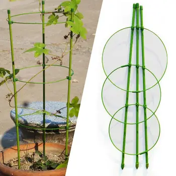 

Flower Plant Climbing Vine Rack Frame Hanging Vines Vegetables Shelf Clips Rings Clematis Climbing Rack Stick Cage Garden Orna