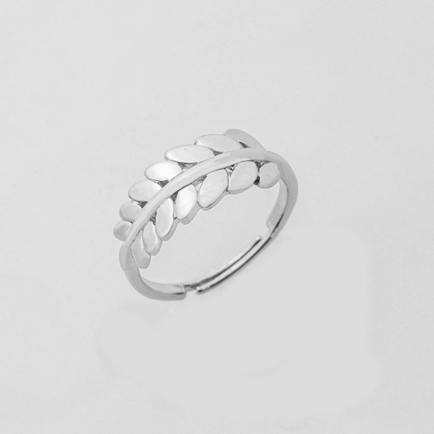 jz277_rings