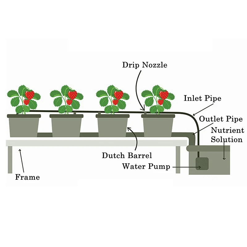 Greenhouse Soilless Cultivation Dutch Barrels Vegetable Fruit Planting Plastic Barrels Garden Hydroponic Substrate in Facilities