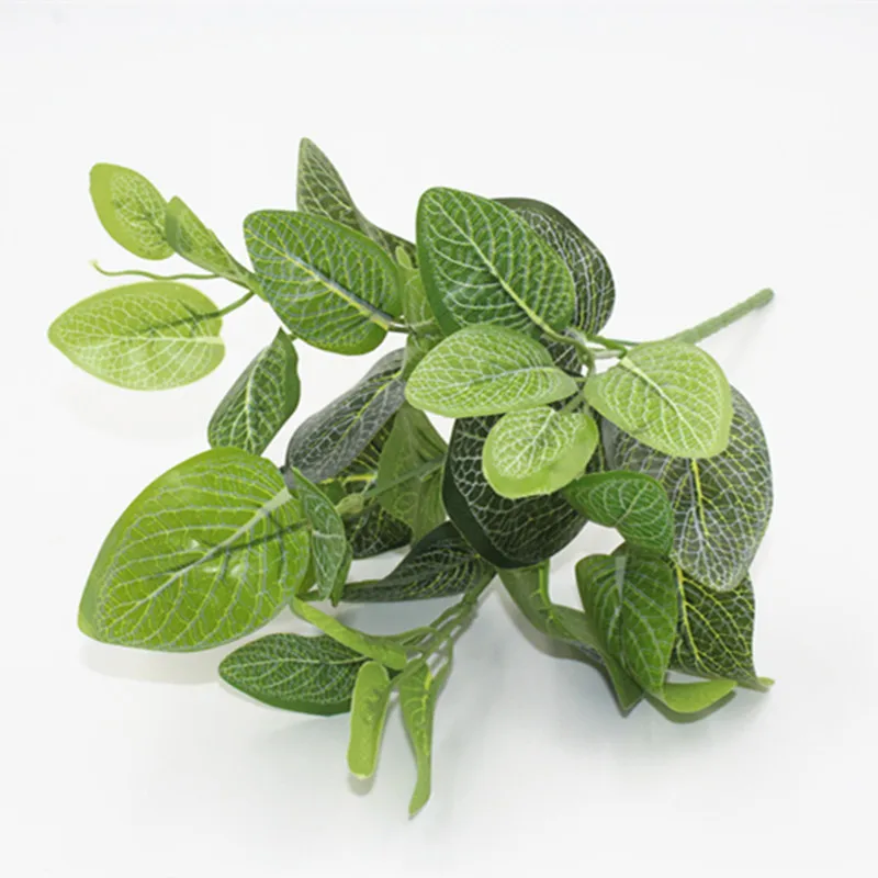 3753480491_1338463617