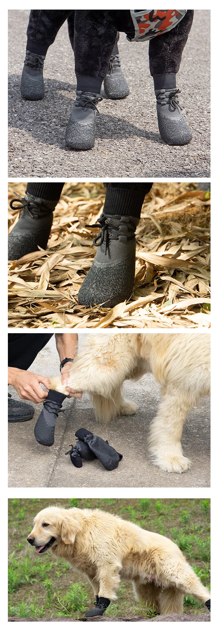 botas para cães, acessórios pequenos e grandes,