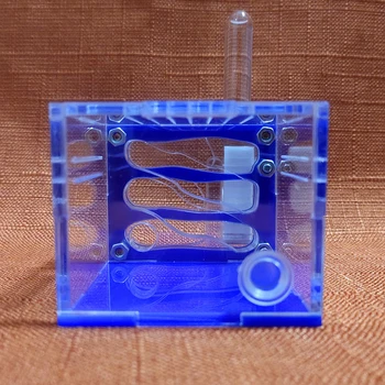 

Acrylic Ant Nest Bionic Nest Small Ant Feeding Activity Area Blue Reptile Terrarium