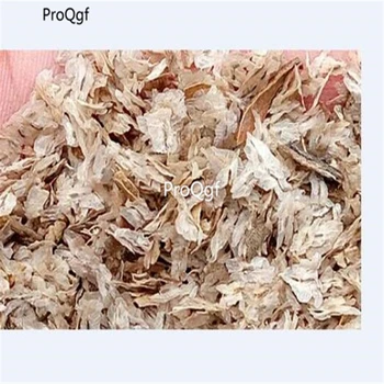 

Ngryise 80000Pcs A Set Paulownia royal empress tree paulownia tomentosa
