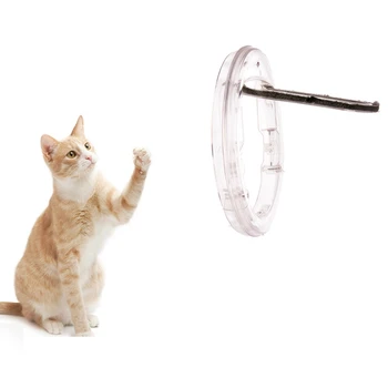 

4 Way Cats Locking Flap Door Interior Exterior Glass Window Small Pet Round Entrance For Cats Small Dogs