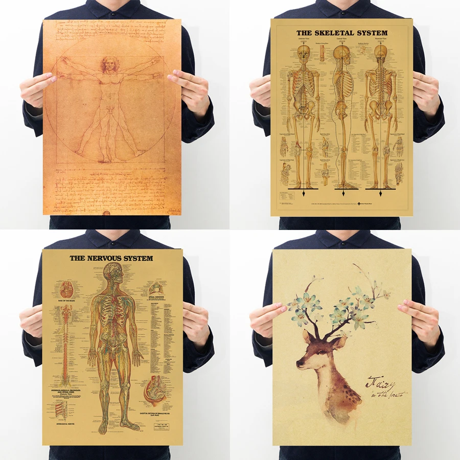 Classic Human structure sketch Hand-painted Deer Muscle Bones Vinci Manuscript Retro Kraft Paper Poster Decor | Дом и сад