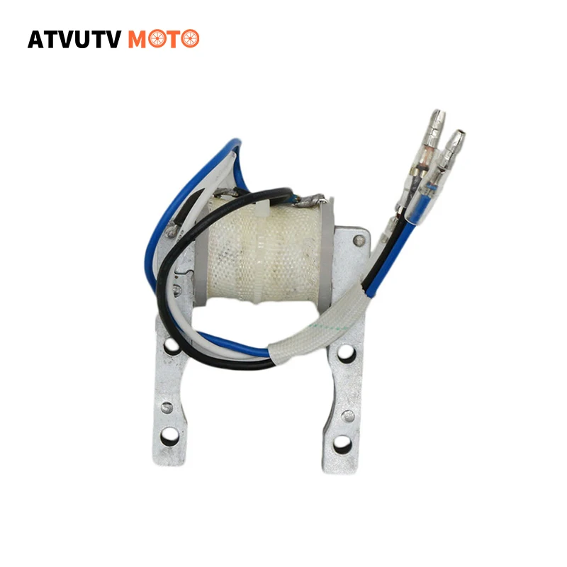 

Ignition Magneto Stator For 2-Stroke 50cc 60cc 66cc 80cc Engine Motorized bicycle
