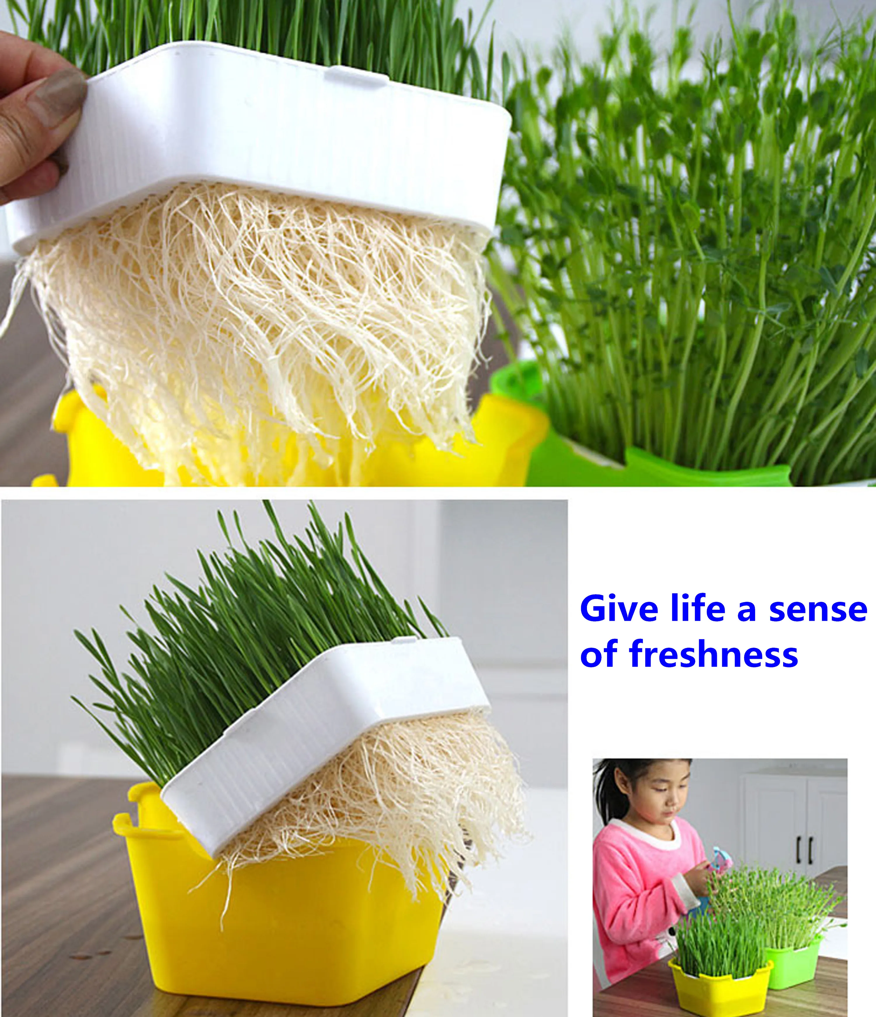 Bean Sprouts Growing Tray Seed Seedling Starter Dish Greenhouse Hydroponics Plant Cat Grass Germination Nursery Pot Grow Box seed starter tray seedling tray sprout growing kit