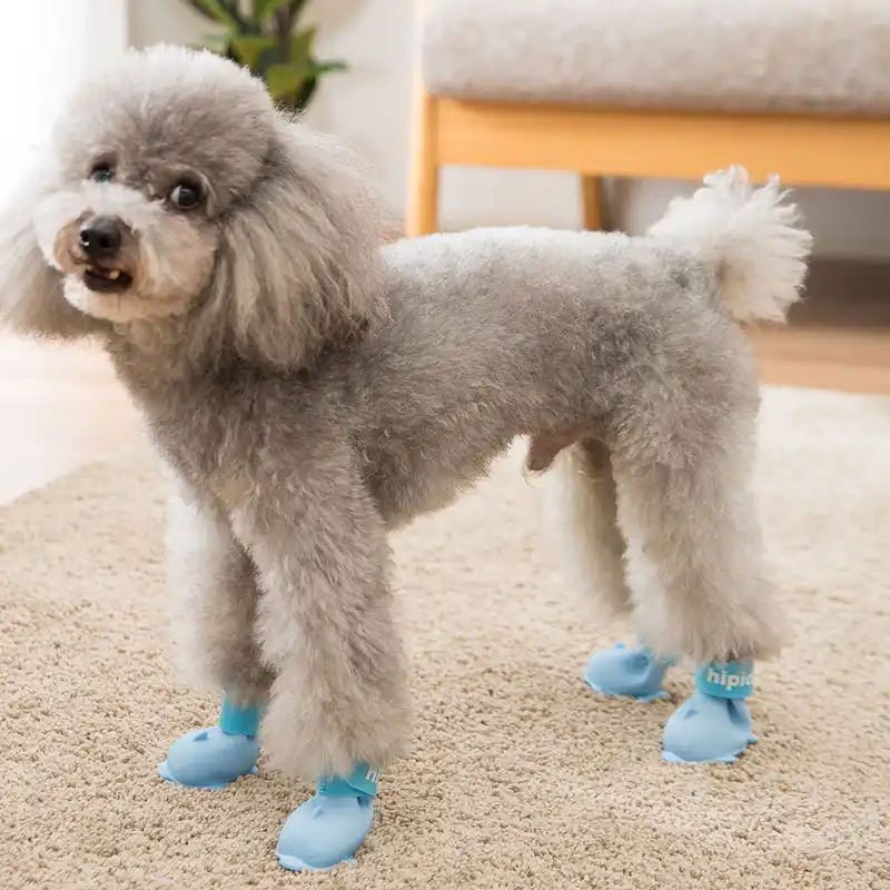 Bonito Pequeno Cao De Estimacao Filhote De Cachorro Chuva Botas De Neve Sapatos Com Velcro Doces Cores De Borracha Resistente A Prova Dwaterproof Agua Anti Deslizamento Sola 4 Pcs Conjunto Aliexpress