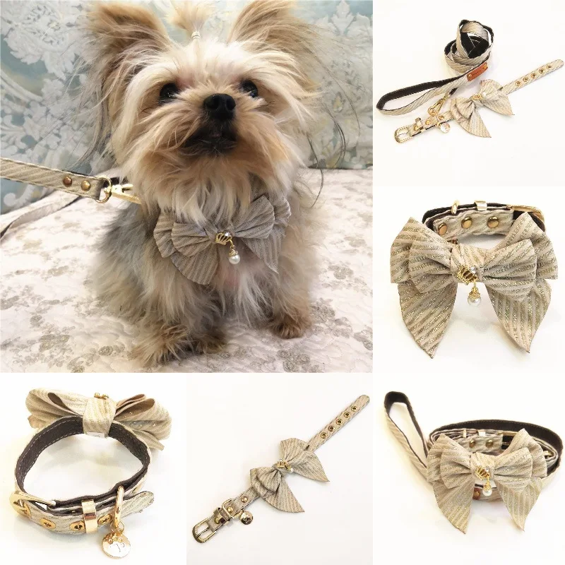 

New Pet Collar Set Teddy Golden Haired Bulldog Traction Pet Supplies Wholesale Collar Perro Chihuahua Pets Acessorios Small Dog