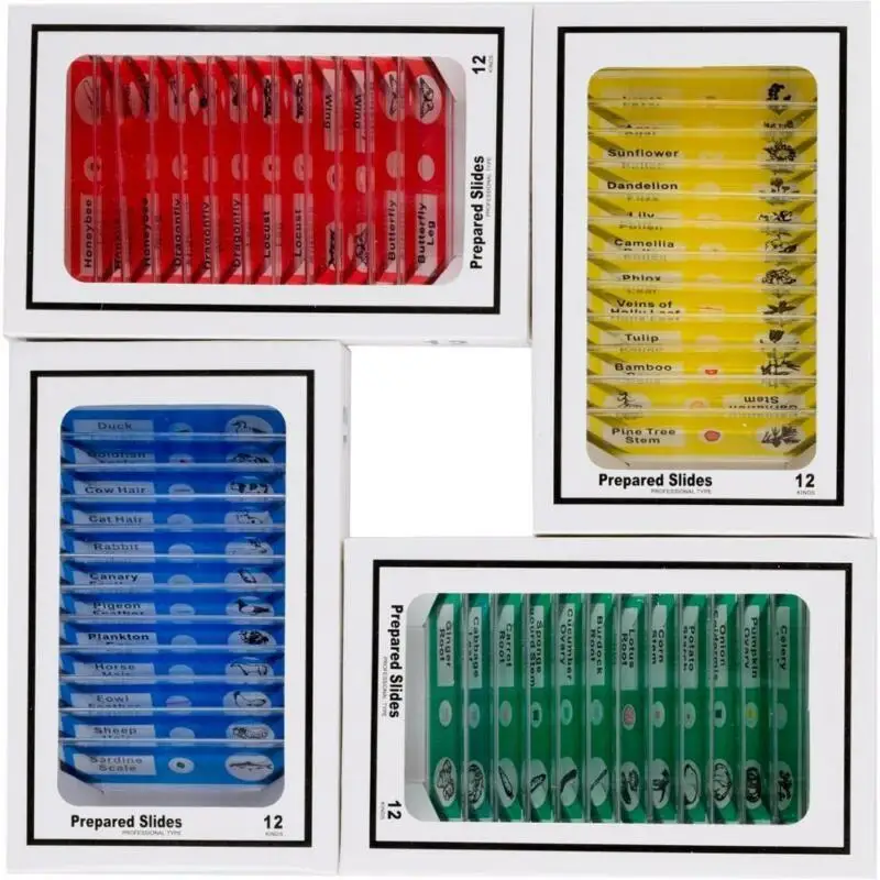 12/48Pcs/Set Prepared Microscope Slides Specimen Animals Insects Plants Flowers Sample