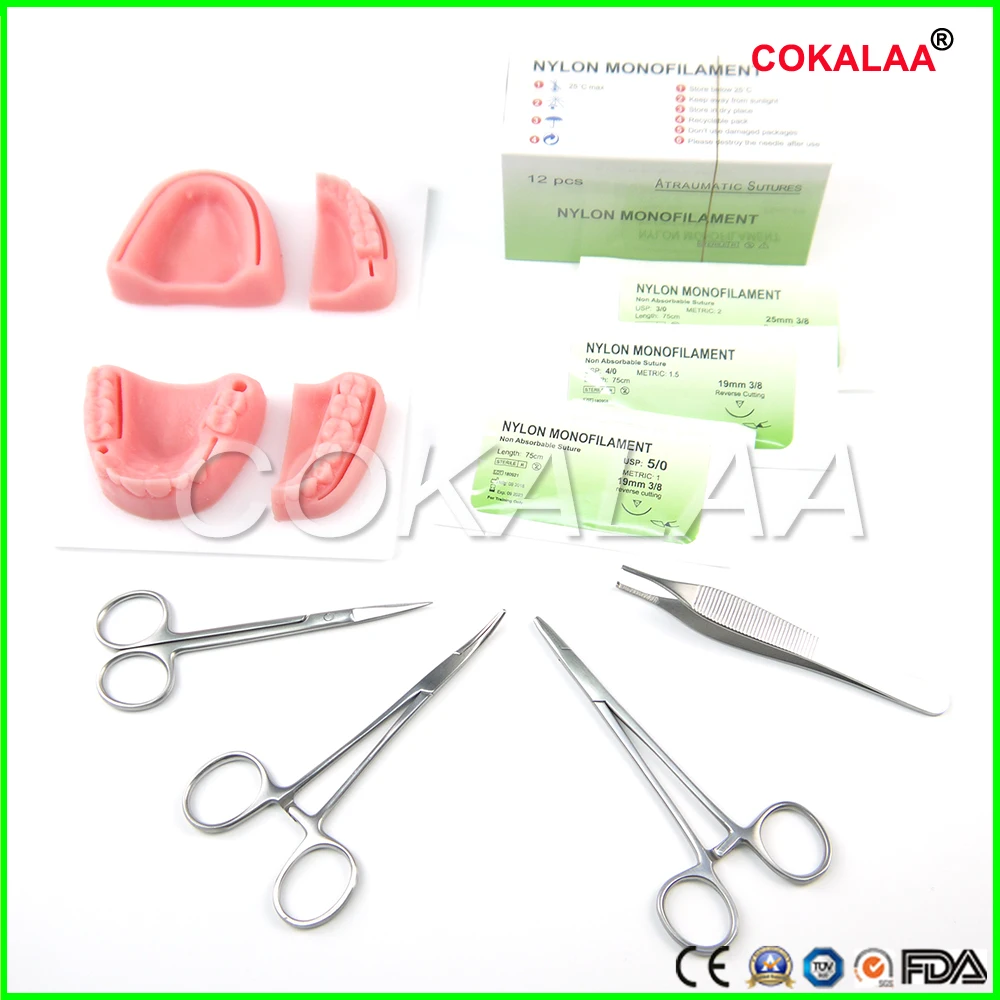 

Dental Simulation oral suture model with needle Gum suture teaching training equipment skill practice