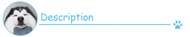 HTB1ER7jbznD8KJjSspbq6zbEXXa4