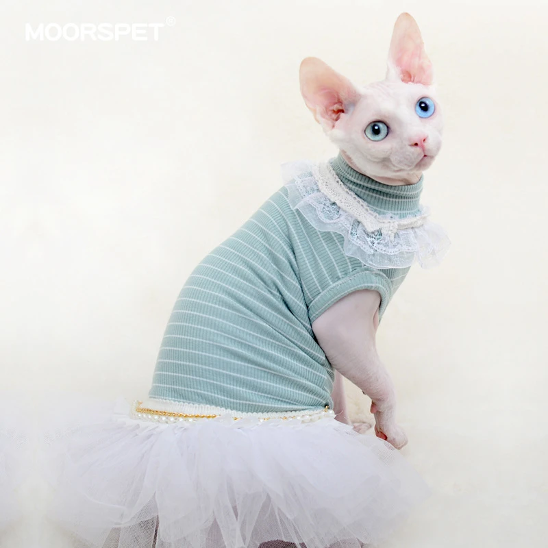 cute kitten clothes