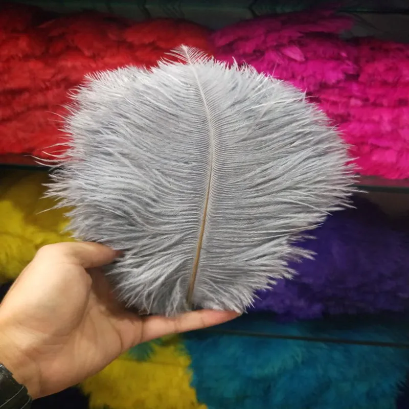 Natural Gray Ostrich Feather 8-10 inch size per SIX (6)