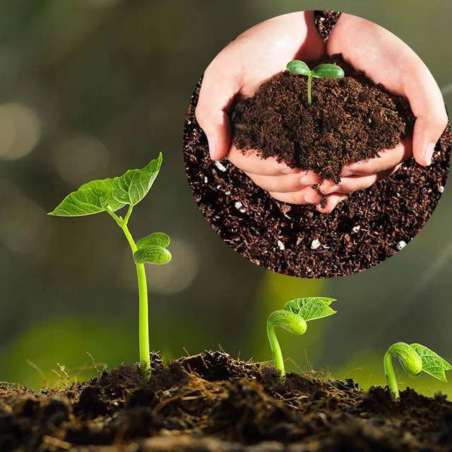 Újonnan 100 Db -Os Vetőmag Indító Dugók Palánták Talajblokk Mag Talaj Indítók - Image 2