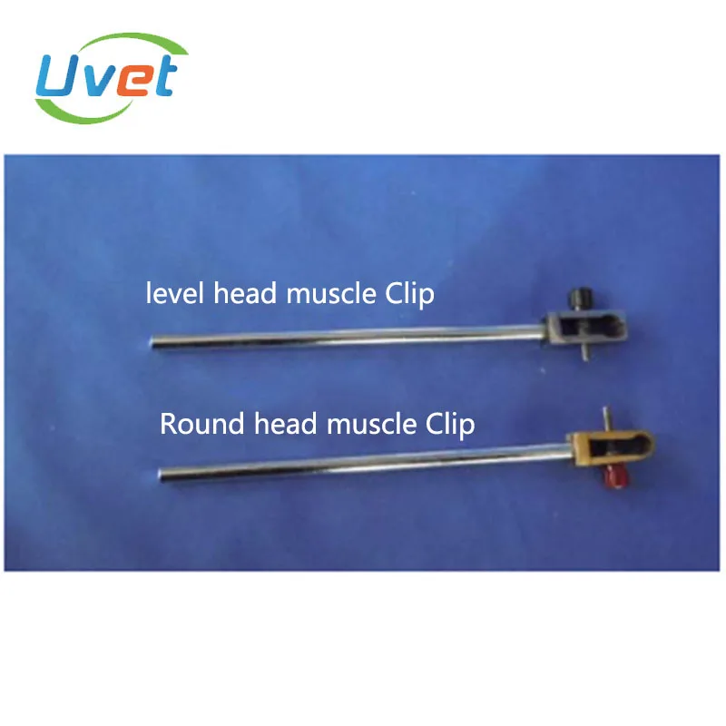 

Uvet level head muscle clip round head muscle clip