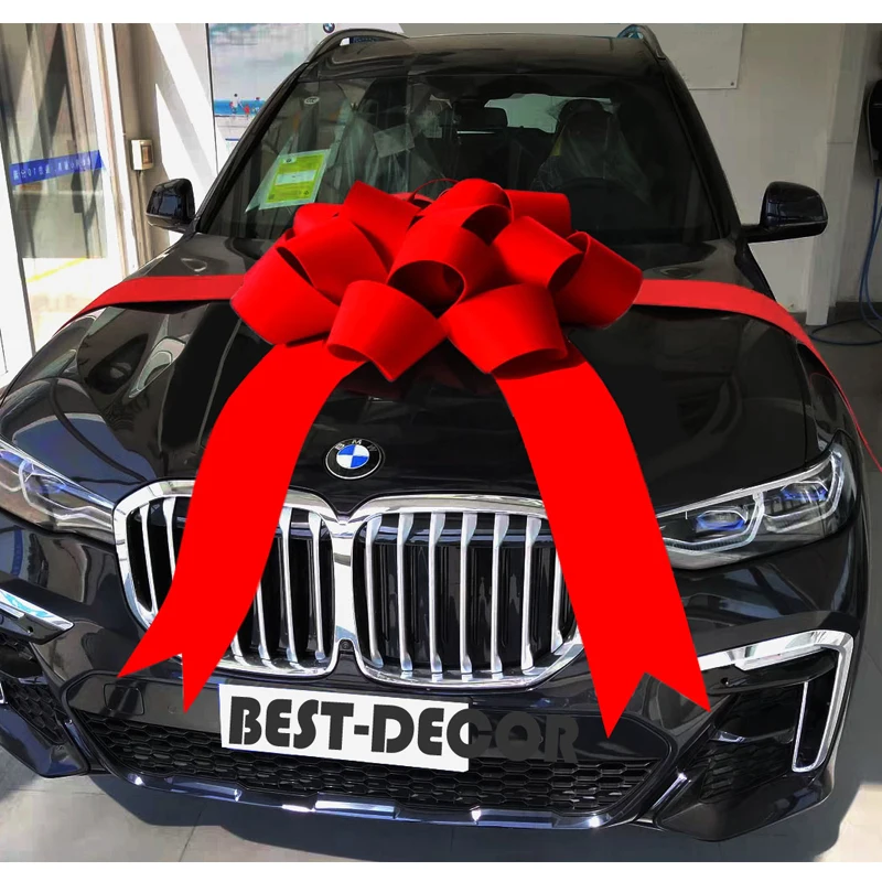 Cabilock Décoration à Suspendre Pour Voiture - Nœud Chinois