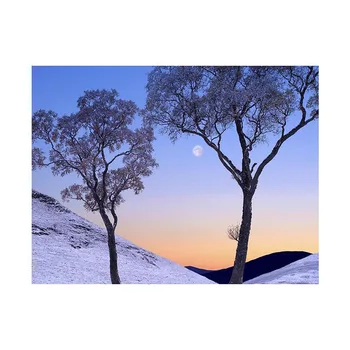 

1set Photography Background Cloth 7*5ft/5*3ft Night Scenary Photo Cloth Frameless Photographic Backdrops for Video Camera Studio