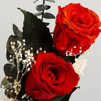 

Double Rose Eternal Flower Valentine's Day Gift Preserved Flowers Eternal Rose Bouquet Gift Box
