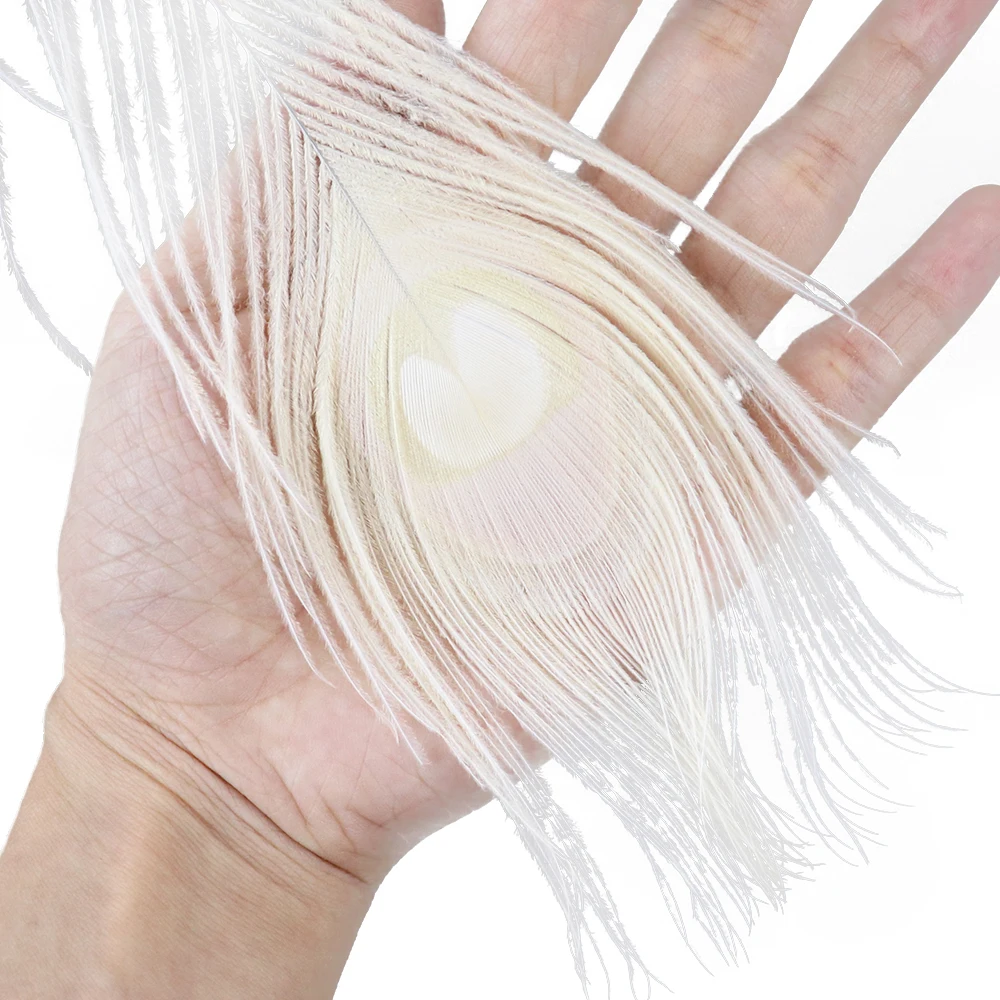 25-30cm 白色脱染孔雀毛 (7)