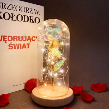 

Rose LED Light Copper Wire Light Glass Dome Night Lamp Micro Landscape HYD88