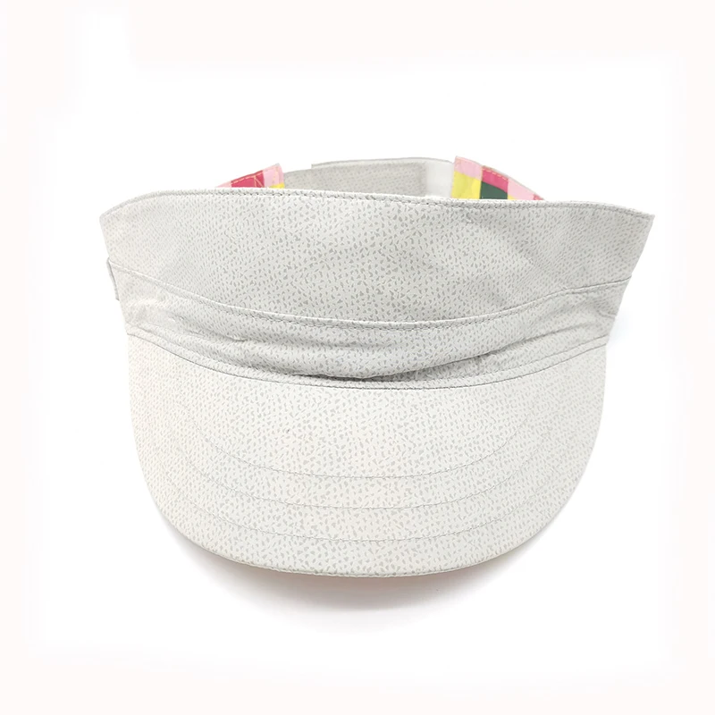 visor1