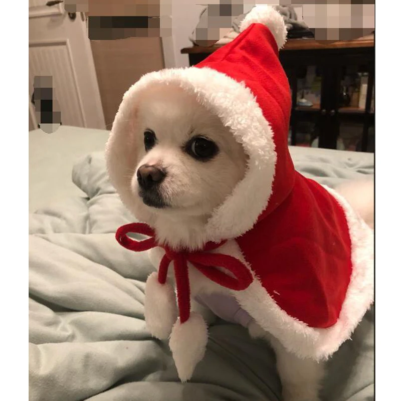 7848108794_602832808