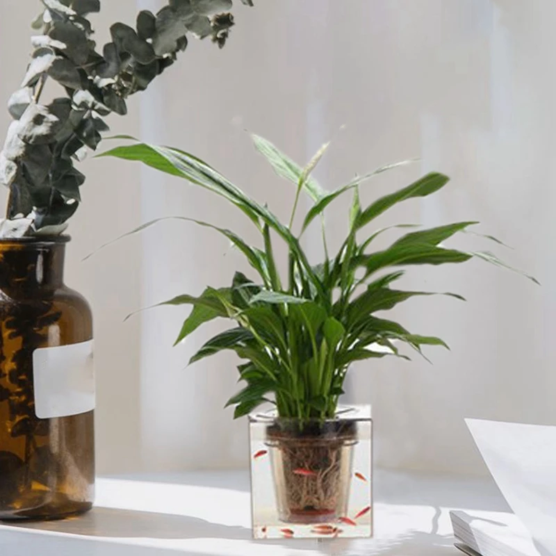 Transparent Self-watering Pot Deck Planter Flowerpot-Home Garden Fish Tanks Set 