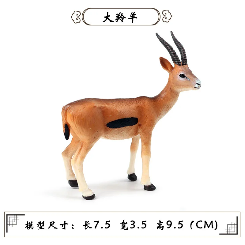 10496554701_1464955482