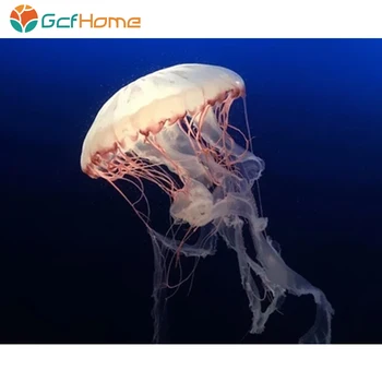 

GCFHome Marine Life Jellyfish Figure DIY Digital Painting Acrylic Canvas Painting Home Decor Unique Gift Modern Mural